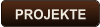 PROJEKTE