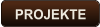 PROJEKTE